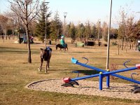 DSC00792