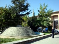 DSC06320