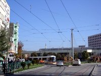 DSC06331