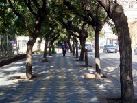 DSC06335