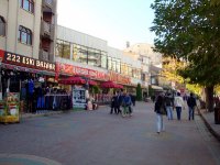 DSC06347