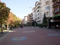 DSC06349
