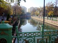 DSC06351