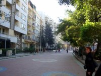 DSC06353