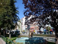 DSC06374