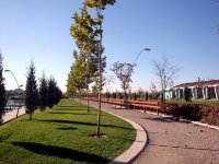 DSC06402