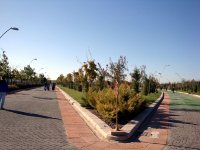 DSC06403