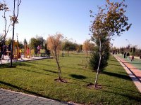 DSC06404