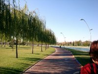 DSC06406