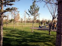 DSC06408