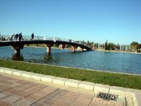 DSC06410