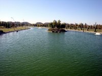 DSC06415