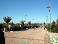 DSC06437