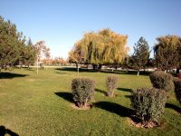 DSC06447