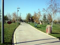 DSC06487