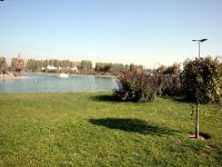 DSC06509
