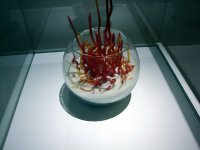 DSC06514