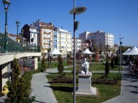 DSC06535