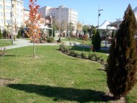 DSC06536