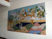 DSC06540