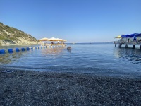IMG_1981