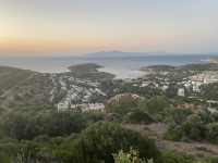 IMG_2259