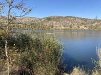 IMG_1007