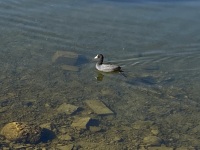 IMG_1016