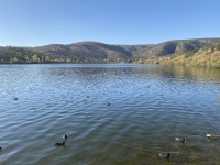 IMG_1027