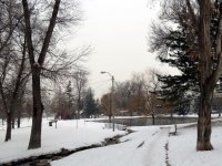 IMG_2803
