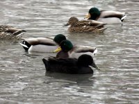 IMG_2816