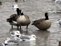 IMG_2817