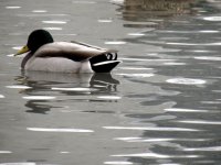 IMG_2819