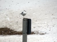 IMG_2820