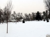 IMG_2827