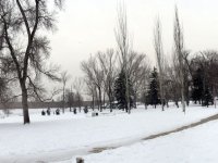 img_2823333-img_2827