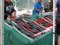 IMG_4501