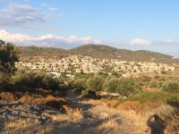 IMG_1128
