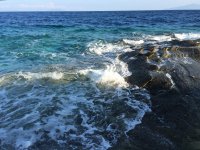 IMG_1156