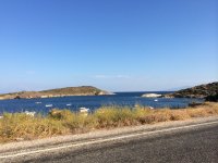 IMG_1210