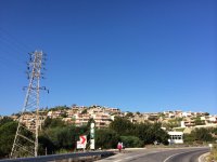 IMG_1217