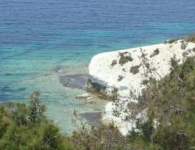 Foça