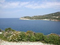 Foça