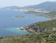 Foça