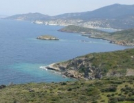 Şıra