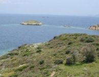 Şira