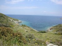 Foça