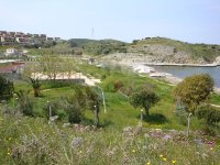 Çanak Koyu