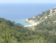 Foça