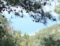 Foça